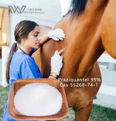 USP 39 Praziquantel For Schistosomiasis Treat Infections  55268-74-1