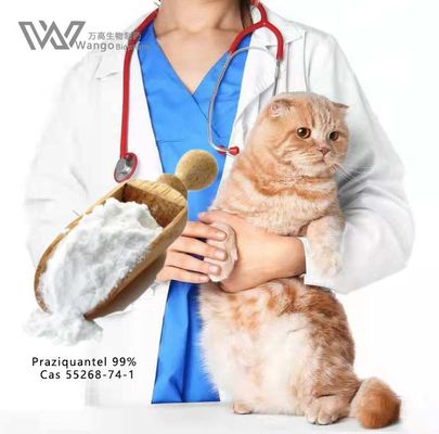 Powerful Praziquantel Powder for Schistosomiasis and Other Parasite Infections 99% USP Grade