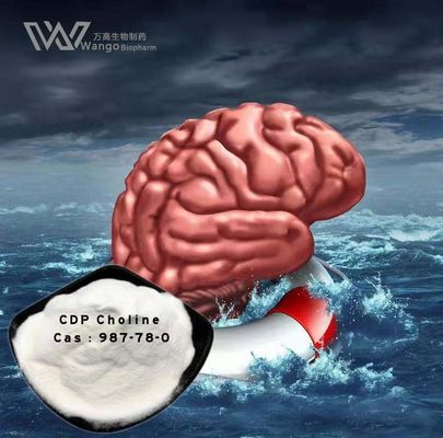 Momery Enhance 99% Citicoline Supplement water soluble 987-78-0