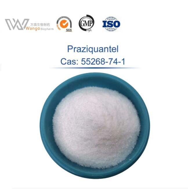 Fluke Disease Praziquantel Powder USP 39 Grade Cas 55268-74-1