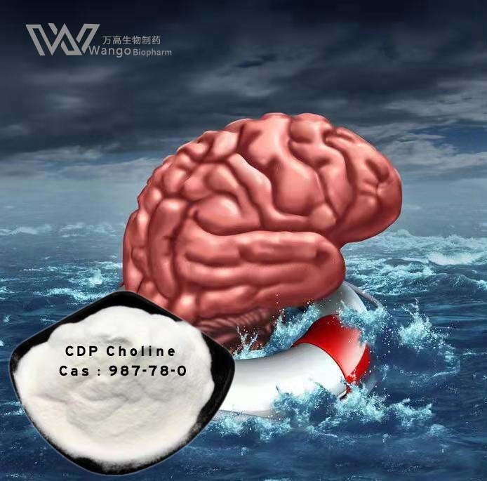 Momery Enhance 99% Citicoline Supplement water soluble 987-78-0