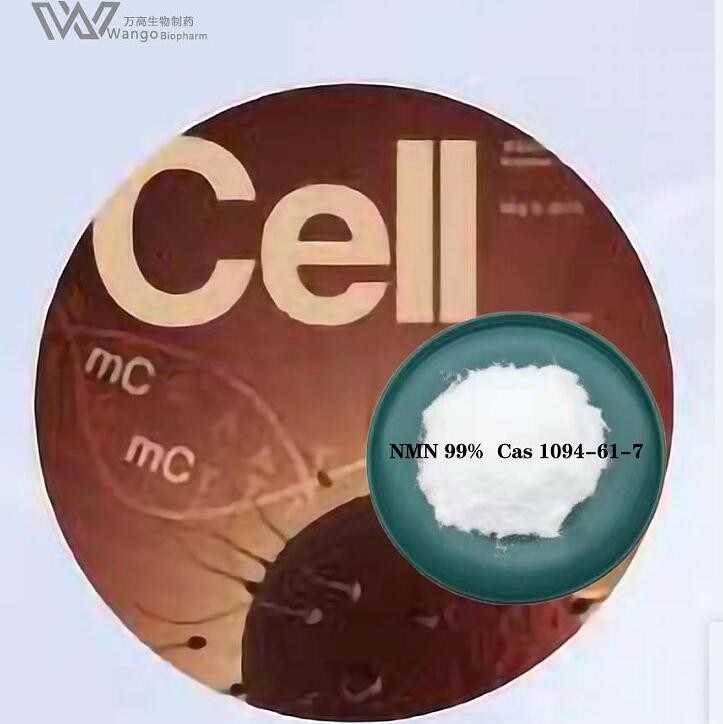 NMN Nicotinamide Riboside Chloride Powder CAS 1094-61-7 Premium NMN Powder 99% Purity | World's Top Anti-Aging & Longevity Supplement | Boost NAD+ for Cellular Energy & Repair | cGMP Manufacturer