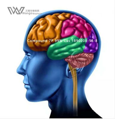 CAS 157115-85-0 Noopept GVS- 111 ผงสีขาวเพื่อการพัฒนาสมอง