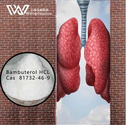 Bambuterol HCL 99% Anti Asthmatic Agents 81732-46-9 สำหรับการรักษาโรคหอบหืดในหลอดลม