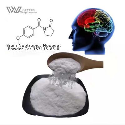 GVS-111 Noopept Oxiracetam White Powder 157115-85-0 อาหารเสริมเสริมความรู้ความเข้าใจ