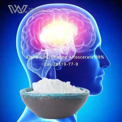 HPLC Nootropics Bulk Powders , อัลฟ่า Gpc Acetylcholine 28319-77-9