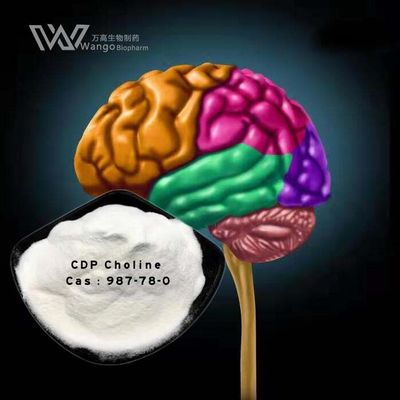 CDP Choline Supplement สําหรับการฟื้นฟูสมองหลังการผ่าตัด วัสดุแท้ทางการแพทย์ การจัดส่งอย่างรวดเร็ว CAS 987-78-0